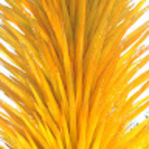 Meet your Posher, Simone